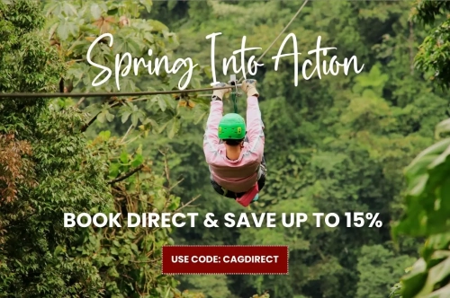 Spring Into Action